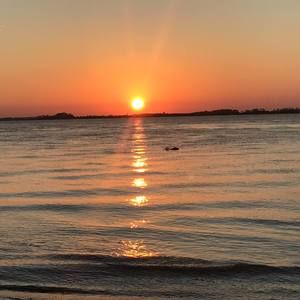 Meet your Posher, Patty